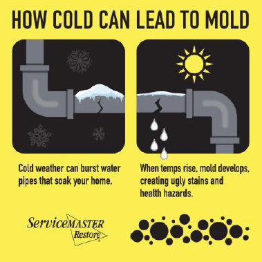 An image explaining how cold can lead to mold. Cold weather can burst pipes leading to dampness when it gets warmer resulting in mold.